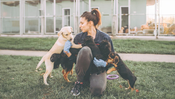 Drumheller &amp; District Humane Society: With the Community Behind Us